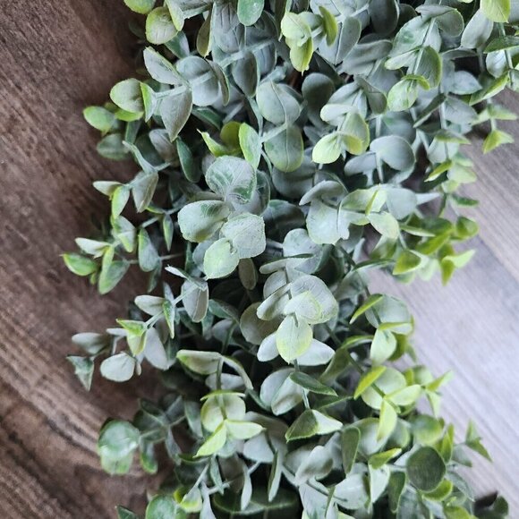 Eucalyptus Wreath 20 inches - Picture 2 of 4